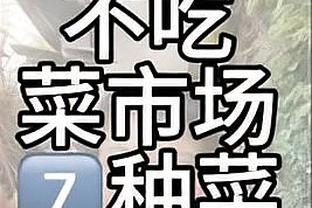 开云app最新官方下载